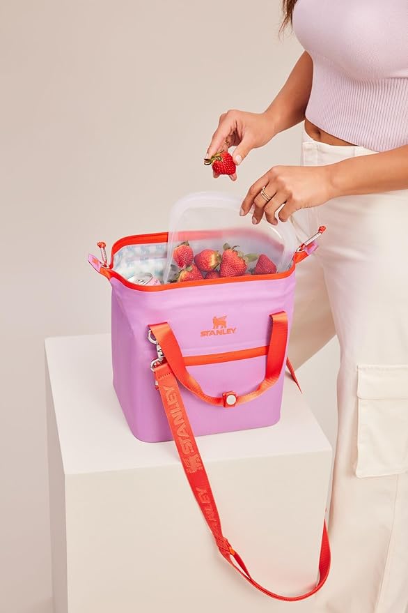 Stanley Julienne Mini Cooler